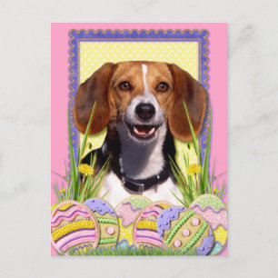 Ostereier-Cookies - Beagle Feiertagspostkarte
