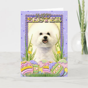Ostereier-Cookies - Bichon Frise Feiertagskarte