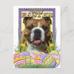 Ostereier-Cookies - Bulldog Feiertagspostkarte