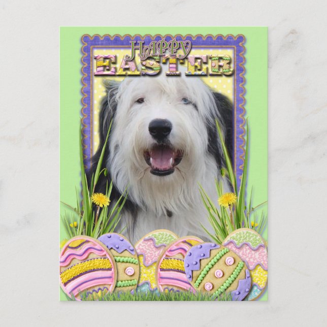 Ostereier-Cookies - Old English Sheepdog Feiertagspostkarte (Vorderseite)
