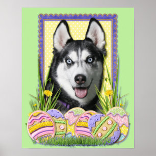 Ostereier - Sibirischer Husky Poster