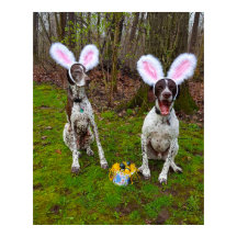 Ostereierjagd und Party Hunde Value Poster