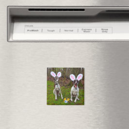 Ostereisjagd und Party Hunde Square Magnet