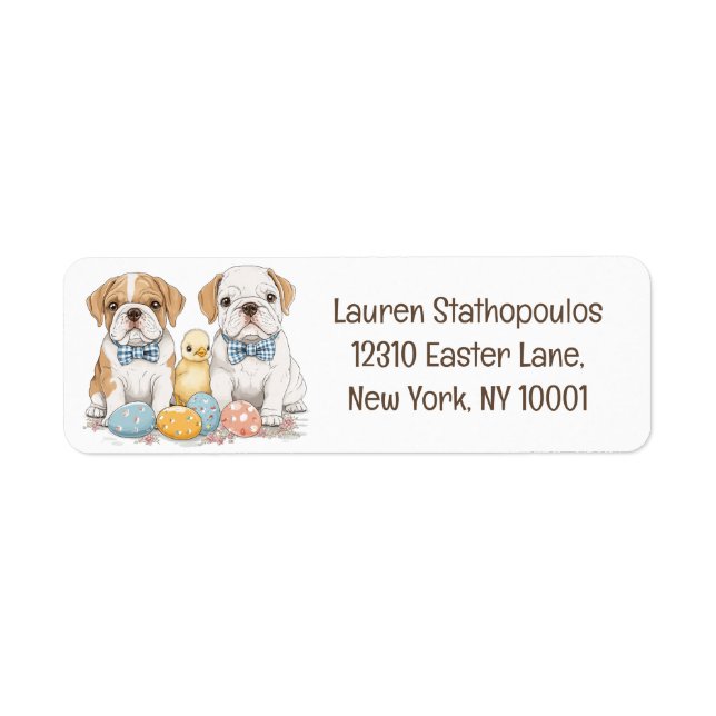 Osterenglische Bulldogs (Vorne)