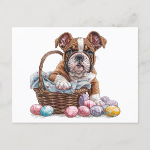 Osterenglische Bulldogs Postkarte