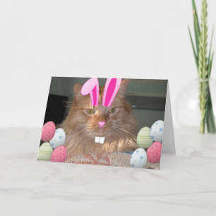 Osterfarbene Katze Feiertagskarte