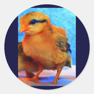 Osterfick-A-Dee-Light Runder Aufkleber