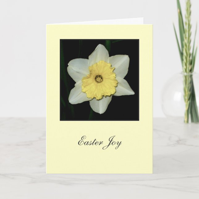 "Osterfreude" daffodil Grußkarte Feiertagskarte (Vorderseite)