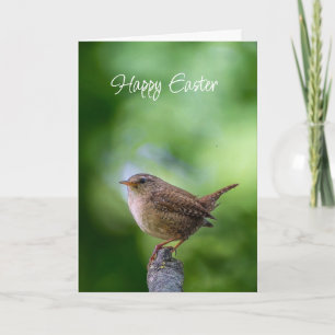 Osterfrühlings-Zaunkönig-Vogel Freude Glück Wünsch Feiertagskarte