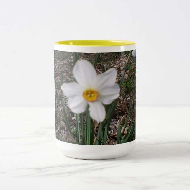 Osterfrühlingsblüte Zweifarbige Tasse (Mittel)