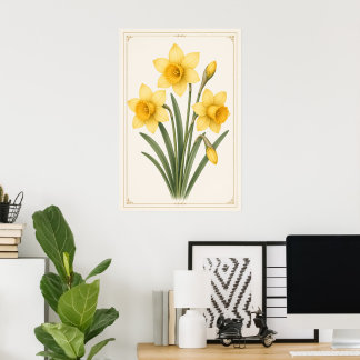Osterglocke Botanisch, März Geburtsblume Poster