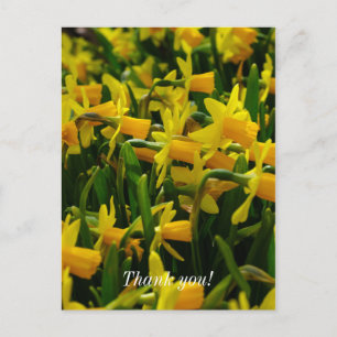 Osterglocken-Familie Danke-Karte Postkarte