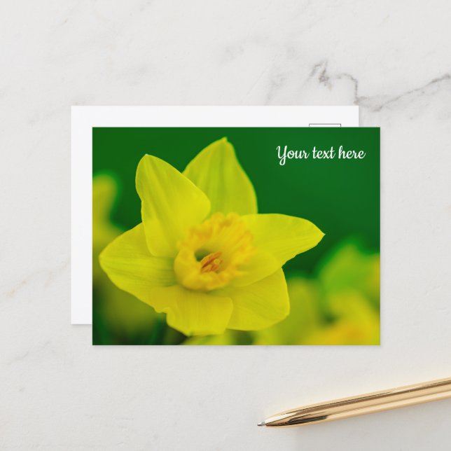 Osterglocken-Grußkarte Postkarte (Vorderseite/Rückseite Beispiel)