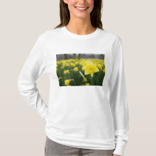 Osterglocken (RF) T-Shirt