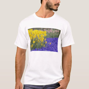 Osterglocken und Traubenhyazinthen, Keukenhof 3 T-Shirt