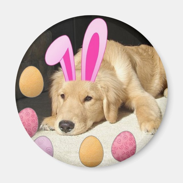 Ostergolden Retriever Magnet (Vorne)