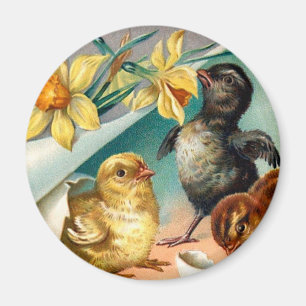 Ostergruß mit Vintage-Küken und gelben Blumen Magnet