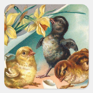 Ostergruß mit Vintage-Küken und gelben Blumen Quadratischer Aufkleber
