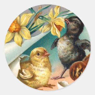 Ostergruß mit Vintage-Küken und gelben Blumen Runder Aufkleber