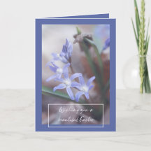 Ostergrüße - Chionodoxa - Karte