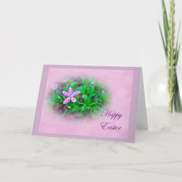 Ostergrüße Deptford Pink Wildblume Feiertagskarte