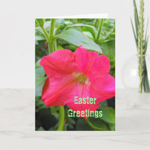 Ostergrüße, Frohe Ostern, rote Petunienblume. Feiertagskarte