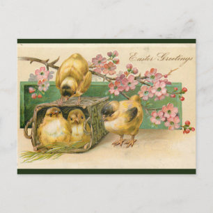 Ostergrüße mit Vintage-Küken im Korb und rosa Blum Postkarte