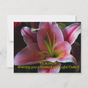 OSTERGRÜSSE POSTKARTE