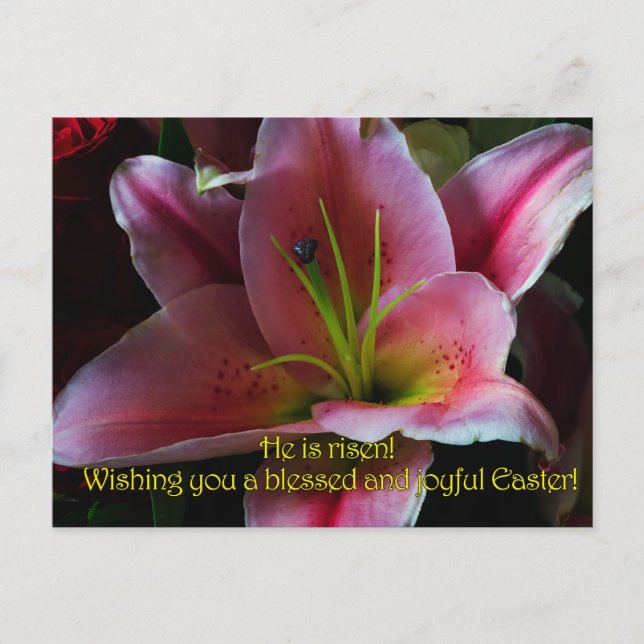OSTERGRÜSSE POSTKARTE (Vorderseite)