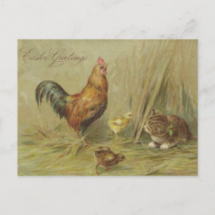 Ostergrüße Vintage Chicks Katzenbenutzerdefinierte Feiertagspostkarte