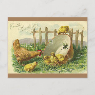 Ostergrüße Vintage Postkarte Küken