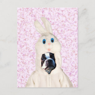 Osterhase Boston Terrier Postkarte