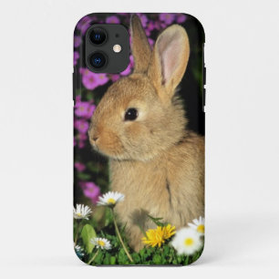 Osterhase Case-Mate iPhone Hülle