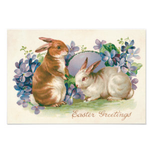 Osterhase Farbige Eier Vergissmeinnicht Fotodruck