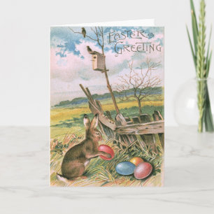 Osterhase Farbige Ostereier Vogelhaus Feld Feiertagskarte