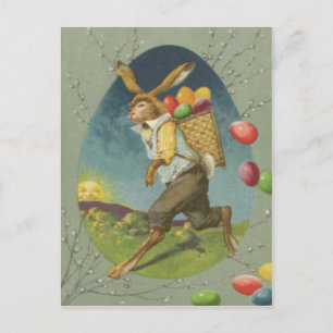 Osterhase Farbiges Ei Sonne Feiertagspostkarte