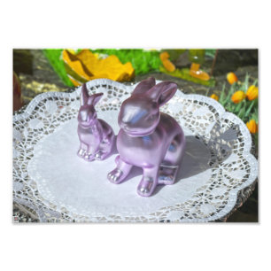 Osterhase Fotodruck
