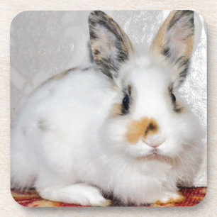 Osterhase Getränkeuntersetzer