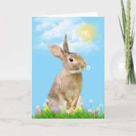 Osterhase im Gras Feiertagskarte