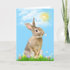 Osterhase im Gras Feiertagskarte