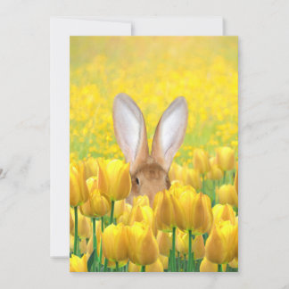 Osterhase in den Tulpen Feiertagskarte