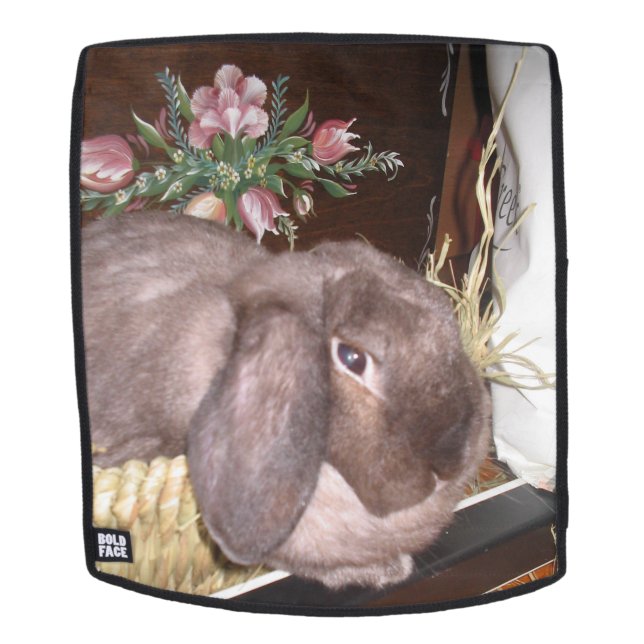 Osterhase in einem Korb Rucksack (Abnehmbare Front)