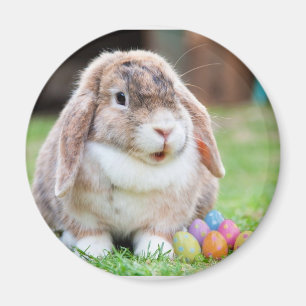 Osterhase Magnet