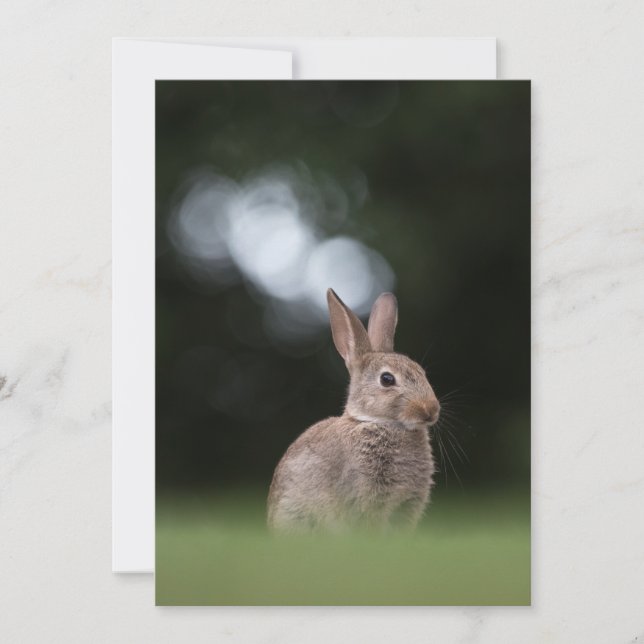 Osterhase Natur Fotokarte Save The Date (Vorderseite)