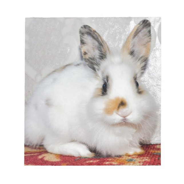 Osterhase Notizblock (Vorderseite)