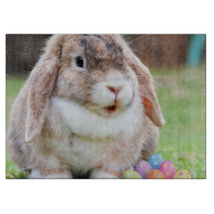 Osterhase Schneidebrett