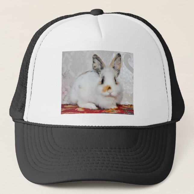 Osterhase Truckerkappe (Vorderseite)