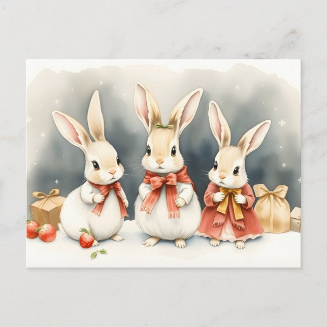 Osterhasen zu Weihnachten  (Vorderseite)