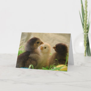 Osterhühner Feiertagskarte