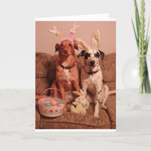 Osterhunde Feiertagskarte